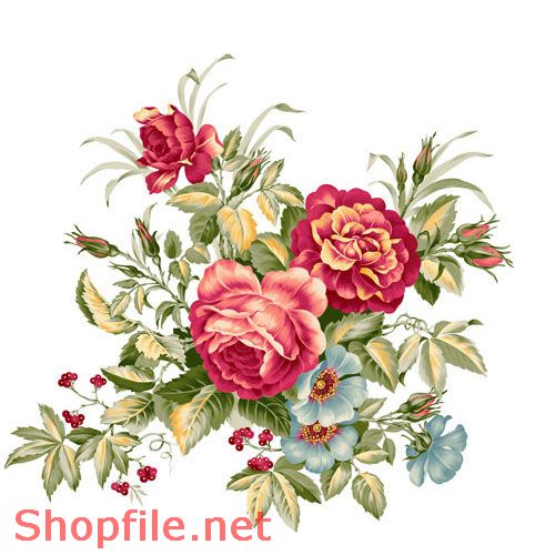 Hình Hoa Hồng Vector Đẹp