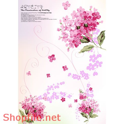 Hình hoa vector đẹp