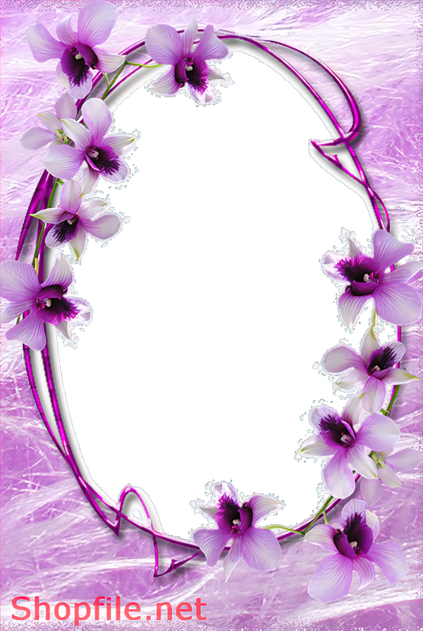 Hình nền  Hoa thiên nhiên nhiếp ảnh màu xanh lá Cánh hoa Lá thực  vật Hệ thực vật Chi nhánh Thực vật học Nhà máy đất thực vật có hoa  Đóng