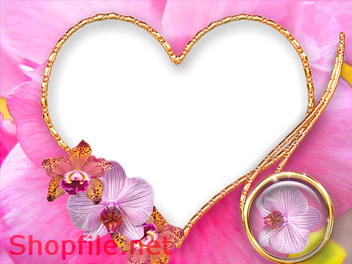 Khung hình trái tim hồng: Những khung hình trái tim hồng sẽ đem lại cảm giác tình yêu và ngọt ngào cho bức ảnh của bạn. Với sự kết hợp giữa màu hồng và hình dạng trái tim, khung hình này sẽ giúp bức ảnh của bạn trở nên độc đáo và nổi bật hơn.