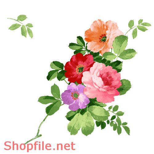 Hình hoa vector đẹp