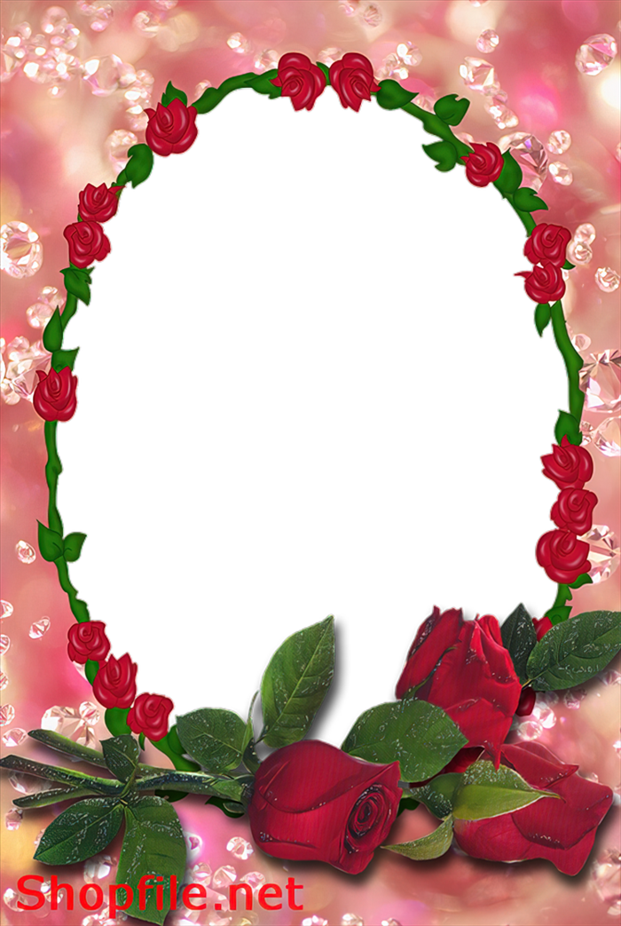 Khung hình hoa hồng đẹp
