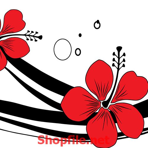 Hình ảnh Minh Họa Cây Phượng Vỹ Cây Hoa Phượng PNG  Cây Poinciana Hoàng  Gia Phượng Hoàng Hoa Hoa Krisnocura PNG và Vector với nền trong suốt để  tải xuống miễn