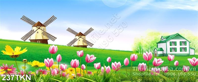 Tranh Cối Xay Gió Và Hoa Tulip Đẹp Nhất