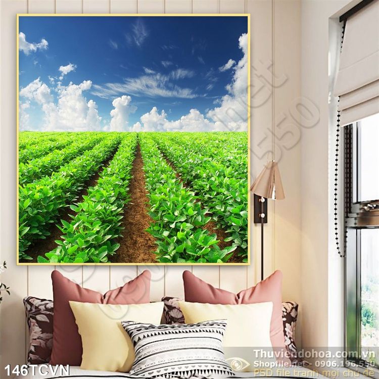 Tranh thắng cảnh Việt Nam vườn rau đẹp