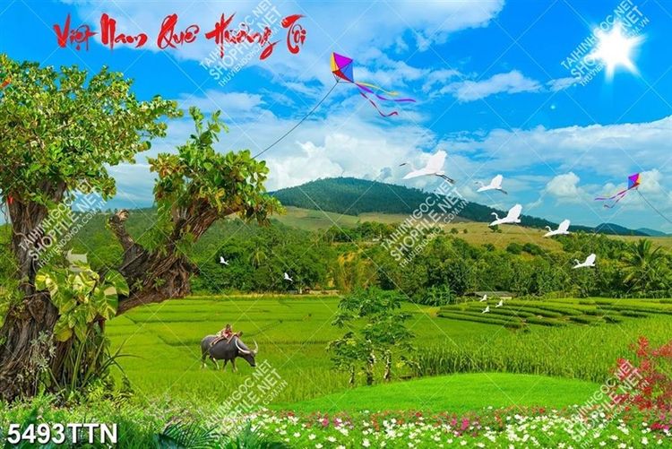 Tranh phong cảnh Việt Nam quê hương tôi in chất lượng cao