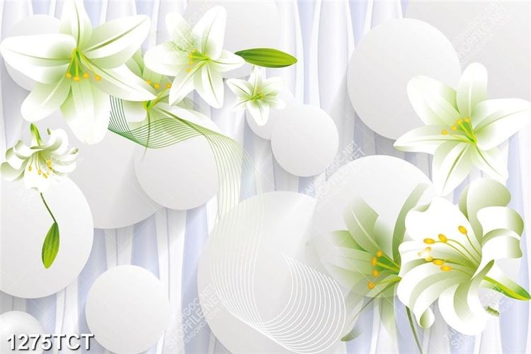 Hình nền Hoa Lily Chụp ảnh Minh Họa Hoa Nền Trắng Nhà Máy Hoa Loa Kèn  Trang Trí Làm đẹp Background Vector để tải xuống miễn phí  Pngtree