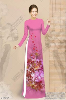 File tranh vải áo dài việt nam 040