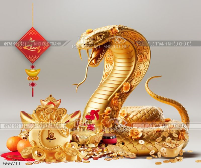 File psd con rắng vàng 2025 File psd con rắng vàng 2025