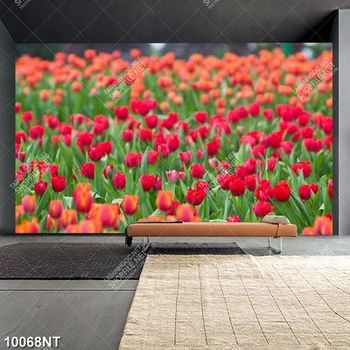 Tranh cánh đồng hoa tulip 10068NT