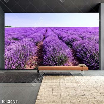 Tranh cánh đồng hoa tím 10434NT