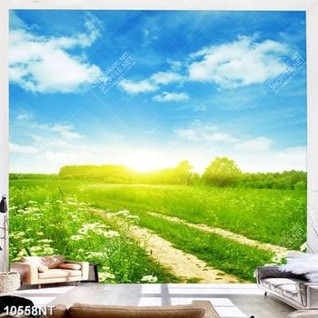 Tranh cánh đồng hoa cúc họa mi 10558NT