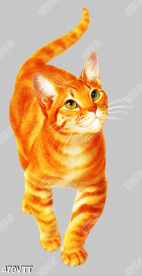 Tranh file PSD mèo vàng 2023 thiết kế ấn tượng