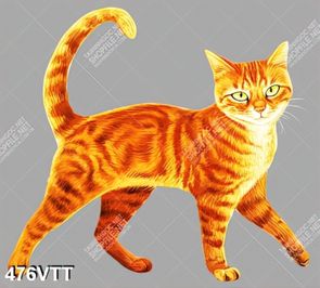 Tranh file gốc mèo vàng Quý Mão 2023