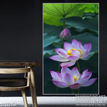 Tranh treo tường hoa sen