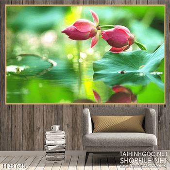 Tranh hoa sen treo tường