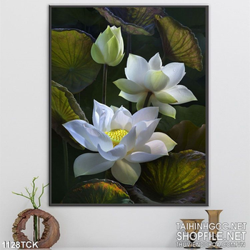 Tranh hoa sen dán tường