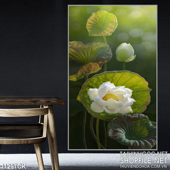 Tranh hoa sen dán tường đẹp
