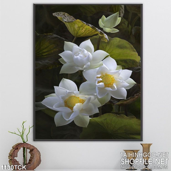 Tranh treo tường hoa sen đẹp