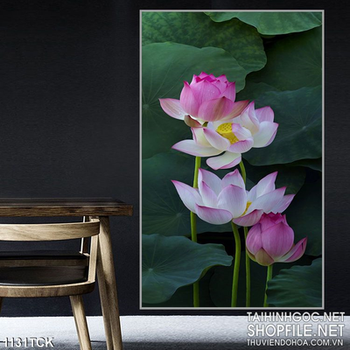 Tranh hoa sen treo phòng khách đẹp