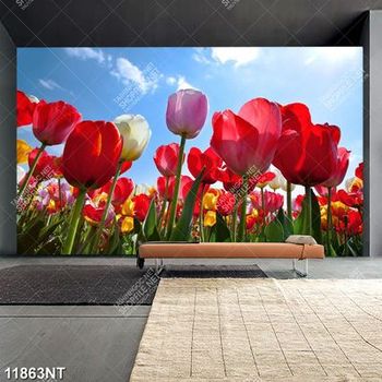 Tranh cánh đông hoa tulip dười bầu trời xanh