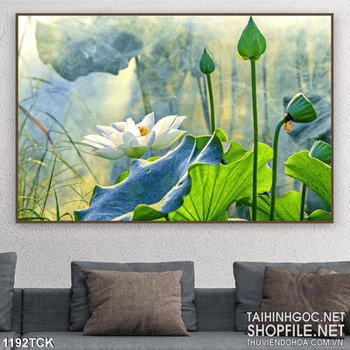 Tranh hoa sen trang trí nghệ thuật