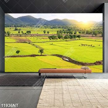 Tranh phong cảnh đồng ruộng xanh