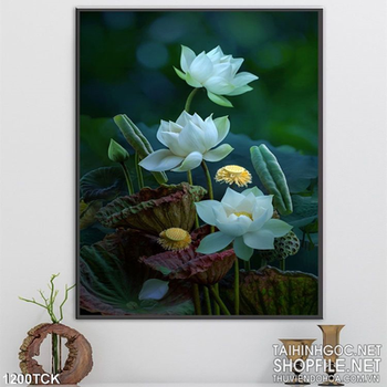 Tranh tường hoa sen trang trí