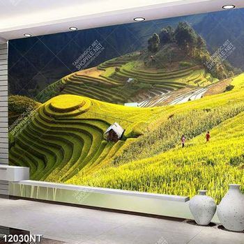 Tranh psd ruông bậc thang