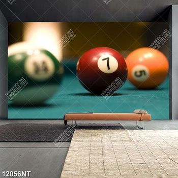 tranh billiard pool snooker bi a bi-a Tranh bóng bida