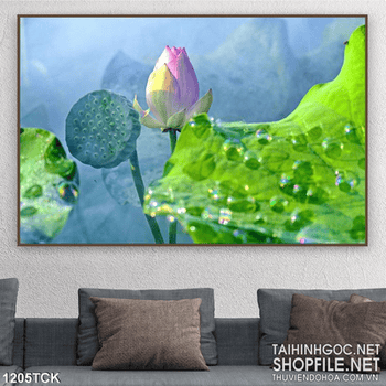 Tranh in canvas hoa sen nghệ thuật
