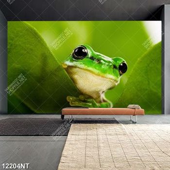 Tranh chú ếch xanh 12204NT