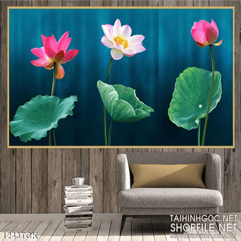 Tranh 3 bông sen