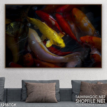 Tranh cá chép quần hội