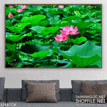 Tranh đầm sen hồng psd