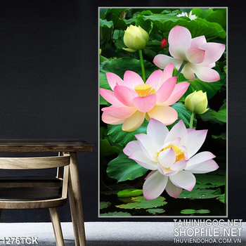 Tranh hoa sen 3d đẹp treo tường