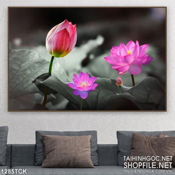 Tranh hoa sen trang trí phòng