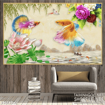 Tranh tranh phong thủy hoa sen và 2 chú cá sim betta
