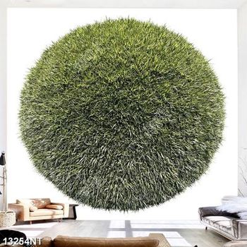 Tranh quả cầu cỏ xanh