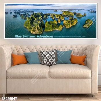 Tranh Blue swimmer Adventurer file psd