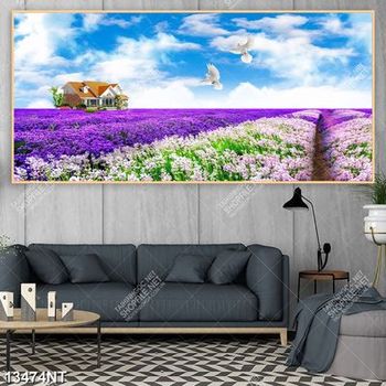 Tranh cánh đồng hoa oải hương file gốc