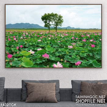 Phong cảnh đầm sen in màu
