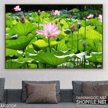 Tranh đầm sen trong nắng