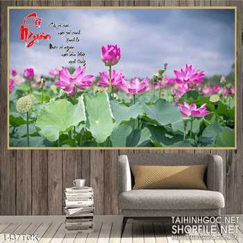 Hoa Sen cội nguồn in màu