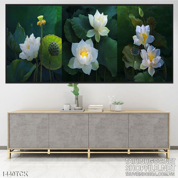 Tranh 3 bức sen trắng