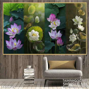 Tranh sen trắng và hồng nở rộ