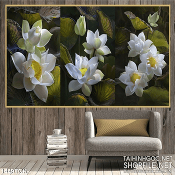 Tranh hoa sen trắng trong 3 khung hình