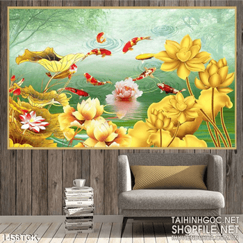 Hoa sen vàng và cá Koi