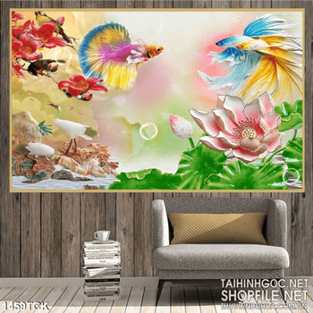 Tranh cá sim betta vui cùng hoa sen