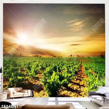 Tranh cánh đồng nho